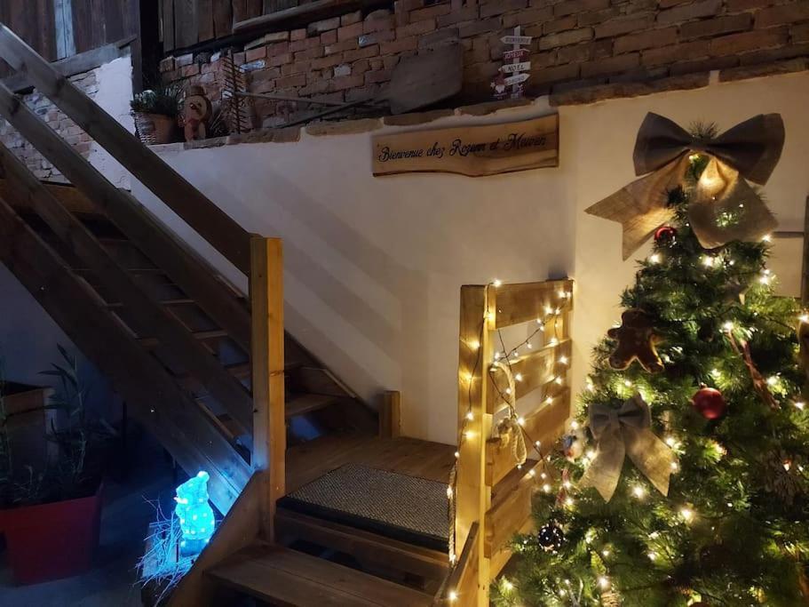 Apartmán Chez Rozenn Et Mewen Romanswiller Exteriér fotografie