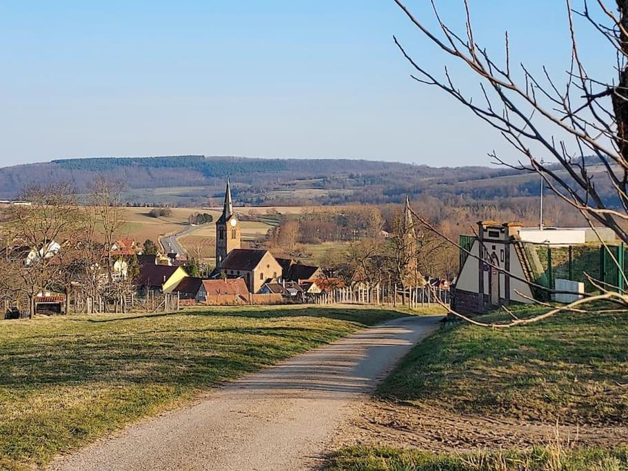 Apartmán Chez Rozenn Et Mewen Romanswiller Exteriér fotografie